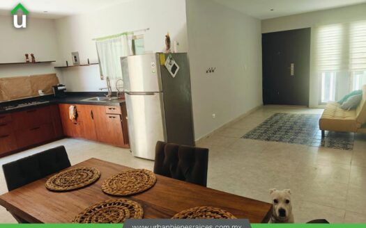 Casa en renta