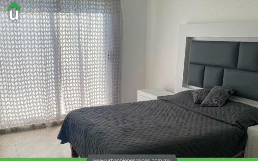 CASA RENTA SAN CARLOS