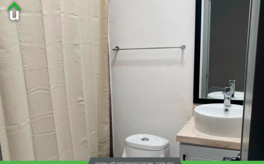 CASA RENTA SAN CARLOS