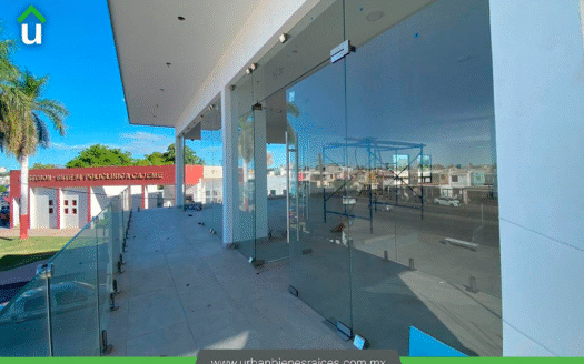 LOCAL RENTA GUERRERO