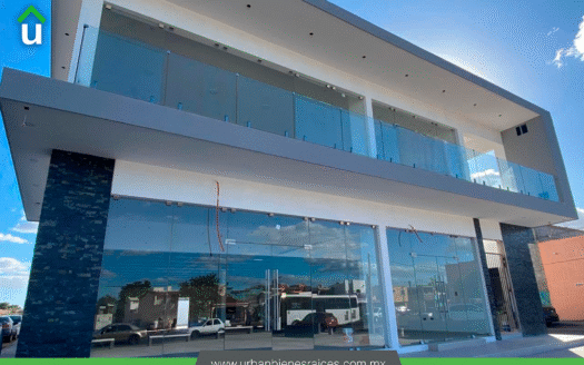 LOCAL RENTA GUERRERO