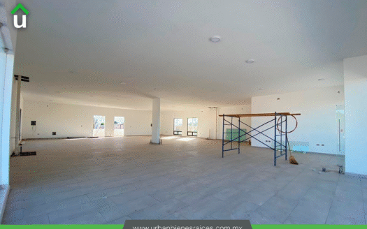 LOCAL RENTA GUERRERO