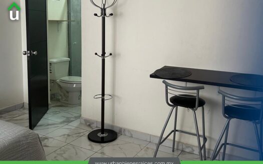 DEPARTAMENTO EN RENTA EN COL. ZONA NORTE