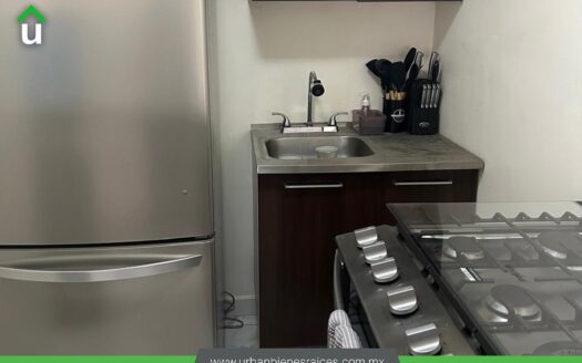 DEPARTAMENTO EN RENTA EN COL. ZONA NORTE