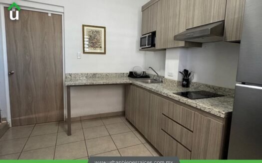 DEPARTAMENTO EN RENTA “ALTERRA” COL. REAL DEL SOL
