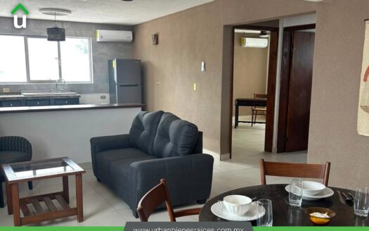 DEPARTAMENTO EN RENTA EN COL. ZONA NORTE