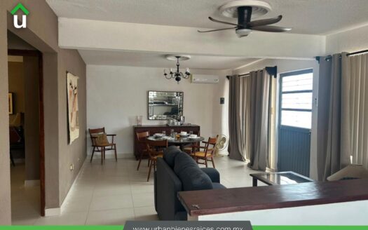 DEPARTAMENTO EN RENTA EN COL. ZONA NORTE