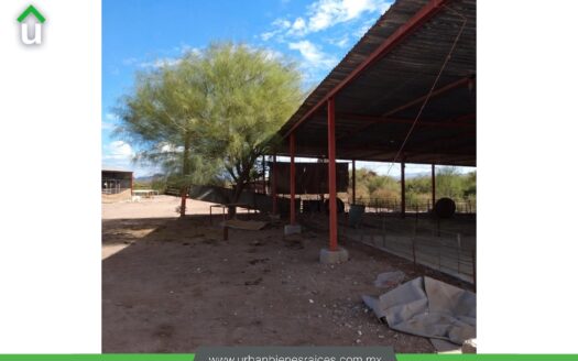 INVERSIÓN PRODUCTIVA EN VENTA | GRANJA PORCINA EN KM 42, CANAL ALTO