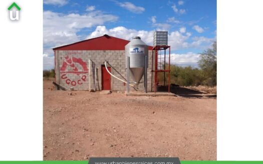 INVERSIÓN PRODUCTIVA EN VENTA | GRANJA PORCINA EN KM 42, CANAL ALTO
